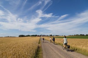 företagsutveckling på landsbygd en viktig fråga , val 2022