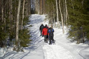 Pressresa snöskovandring Treehotel